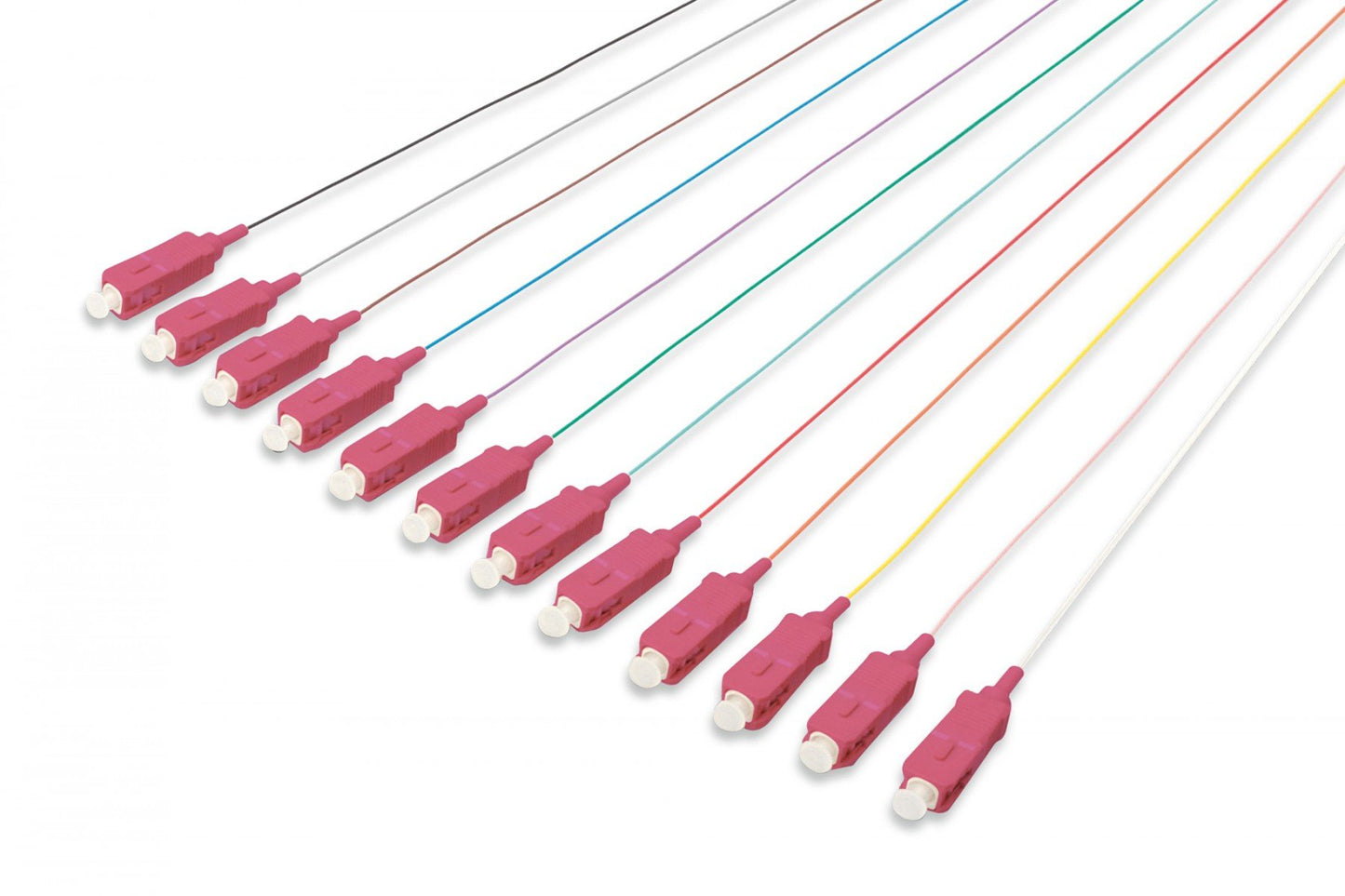 FO pigtail set, 12 pcs., SC, MM OM4 50/125 µ loose buffer, color code DIN IEC 304, 2 m