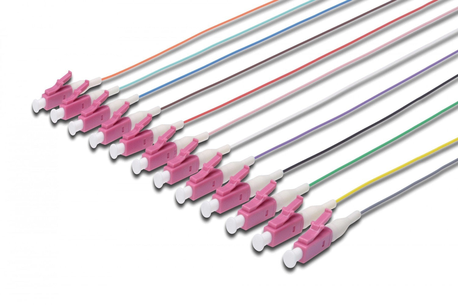 Network Cables & Connectors