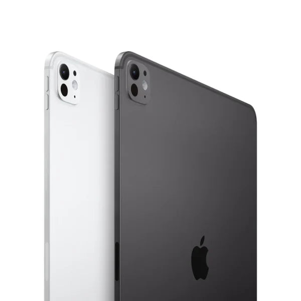 13-inch iPad Pro WiFi 256GB with Standard Glass - Silver