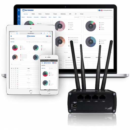 Teltonika Remote Management System (RMS) for 1 device per 1 month