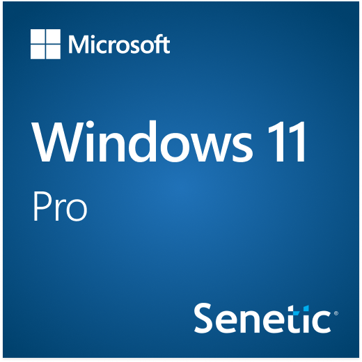 Windows 11 Pro 64Bit Eng Intl 1pk DSP OEI DVD