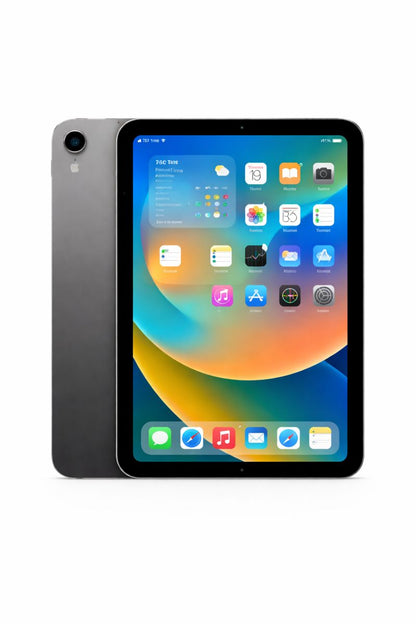 iPad mini Wi-Fi + Cellular 128GB - Space Grey