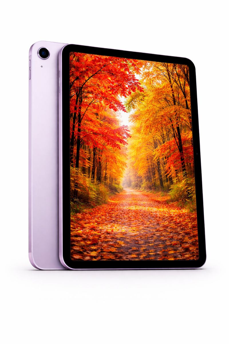 iPad mini Wi-Fi 256GB - Purple