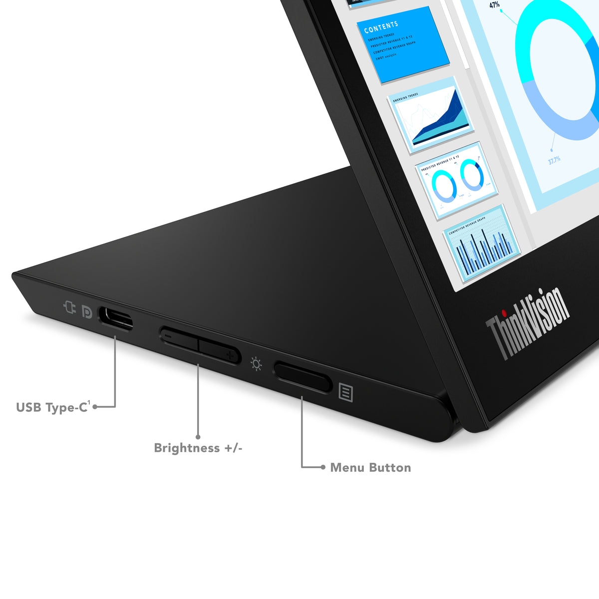 Lenovo Monitor ThinkVision M14d 14" IPS 2,2K AG 6ms 300cd 1500:1 60Hz Mobile Tilt Lift