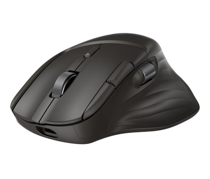 HP Inc. HP Ultra-Fast Scroll Wireless Mouse 785M EURO