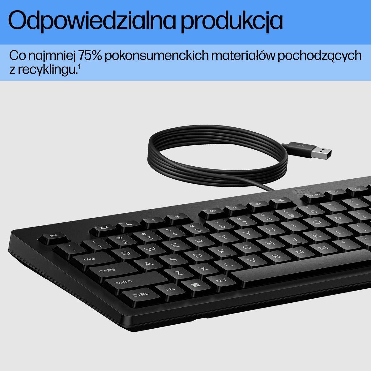 HP Inc. HP 125 G2 USB WD KEYBOARD/INTL ENGLISH