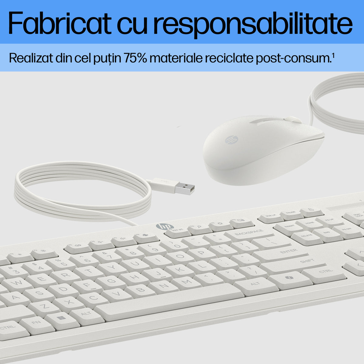 HP Inc. HP 225 WIRED MOUSE AND KB G2/.