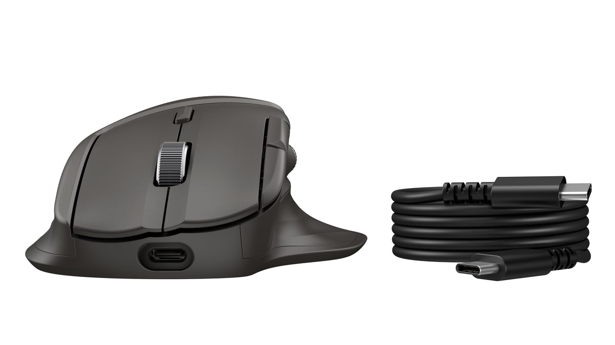 HP Inc. HP Ultra-Fast Scroll Wireless Mouse 785M EURO