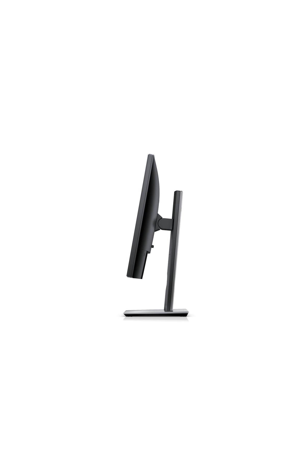 DELL 19 MONITOR - P1917S - 48CM(19) BLACK EURC