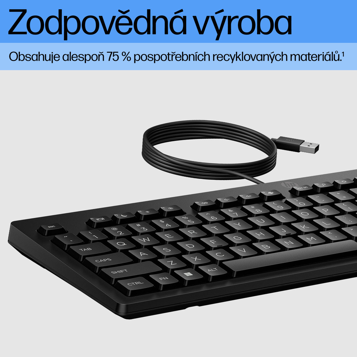 HP Inc. HP 125 G2 USB WD KEYBOARD/INTL ENGLISH