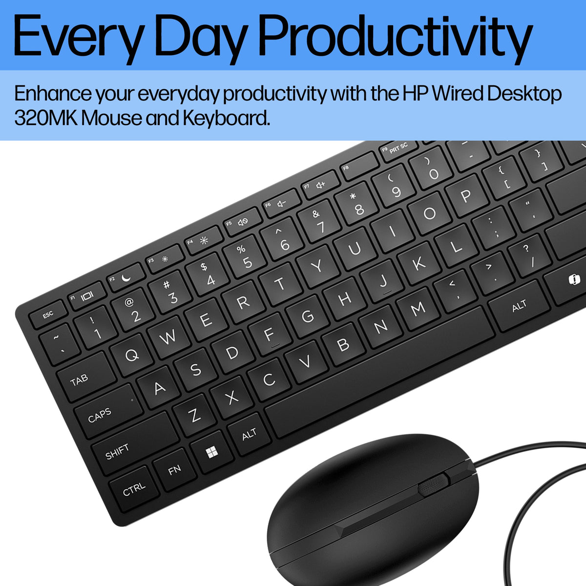 HP Inc. HP WIRED 320 Mouse Keyboard/- ENGLISH
