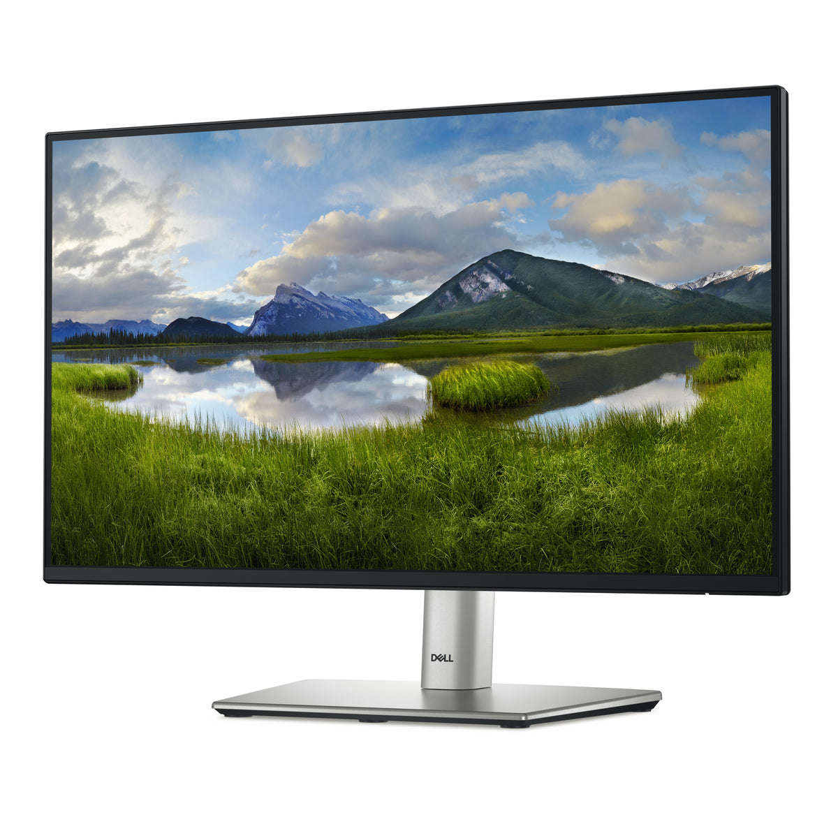 Dell Pro 22 Plus Monitor - P2225H