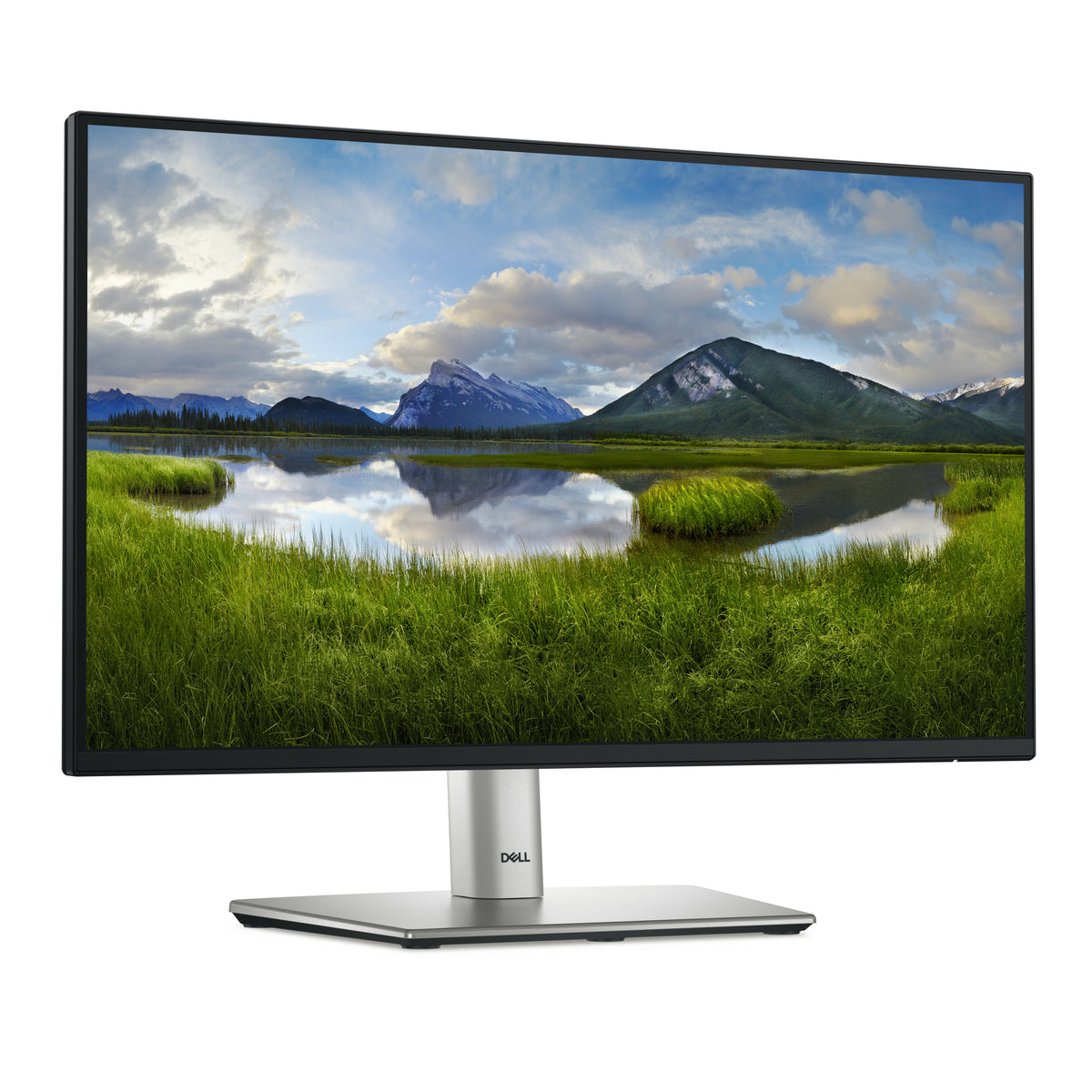 Dell Pro 22 Plus Monitor - P2225H