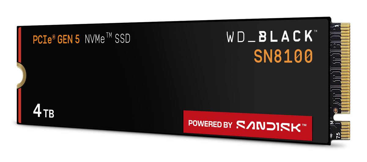 Western Digital WD Black SN8100 SM2508/CONTROLLER 4TB NO HEATSINK CHANN